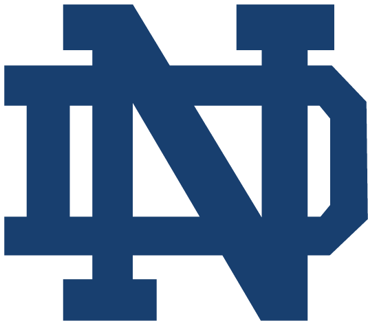 Notre Dame Fighting Irish 1964-Pres Alternate Logo v2 diy fabric transfer